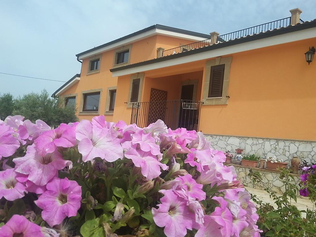 Il Poggetto Marzamemi B&B Exterior photo