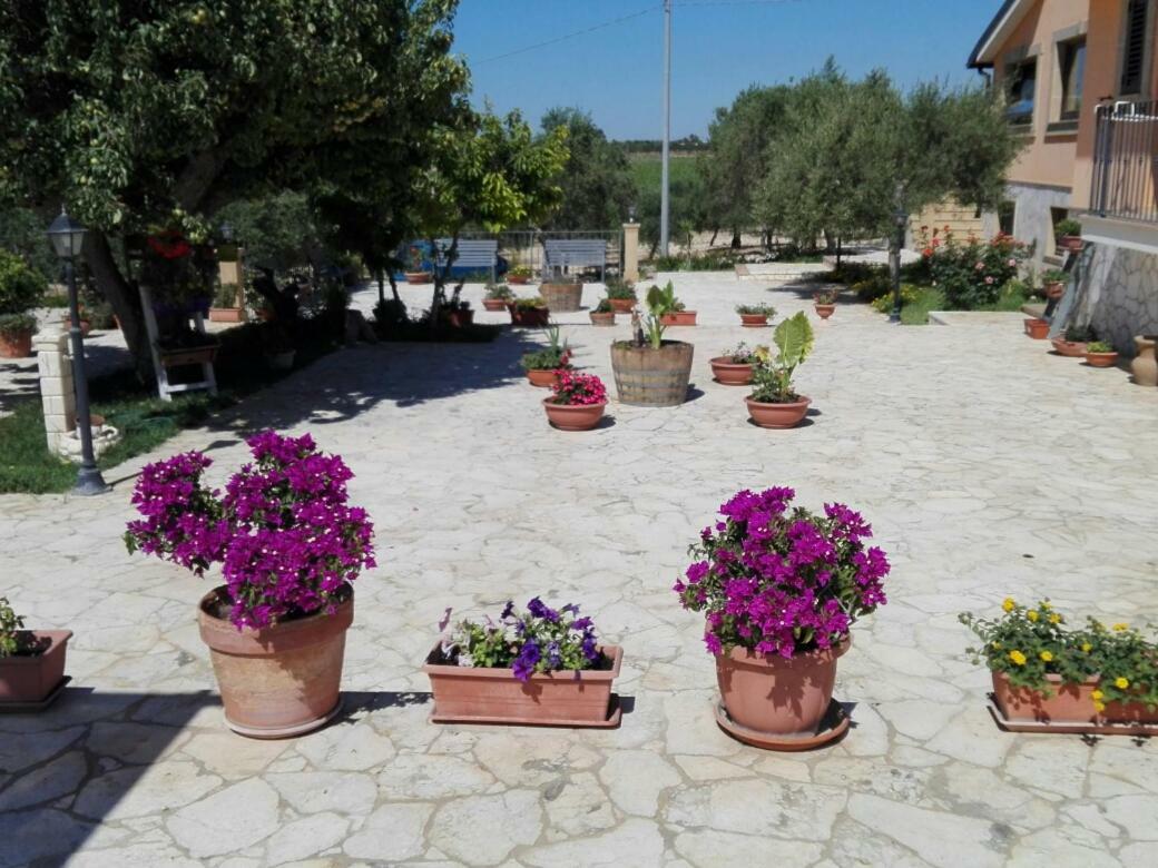 Il Poggetto Marzamemi B&B Exterior photo